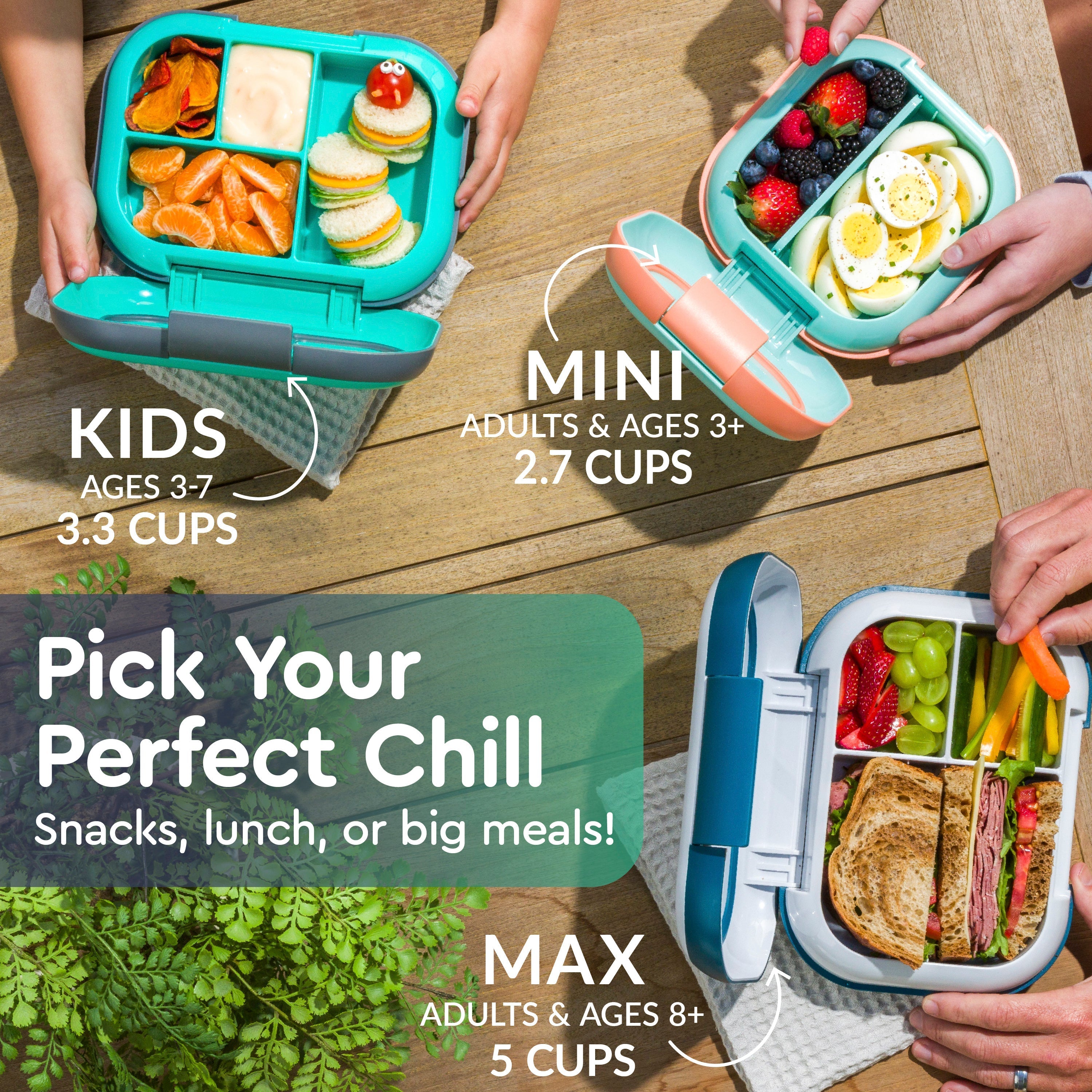 Chill Kids Lunch Box (2-Pack)