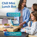 Chill Mini Lunch Box (2-Pack)