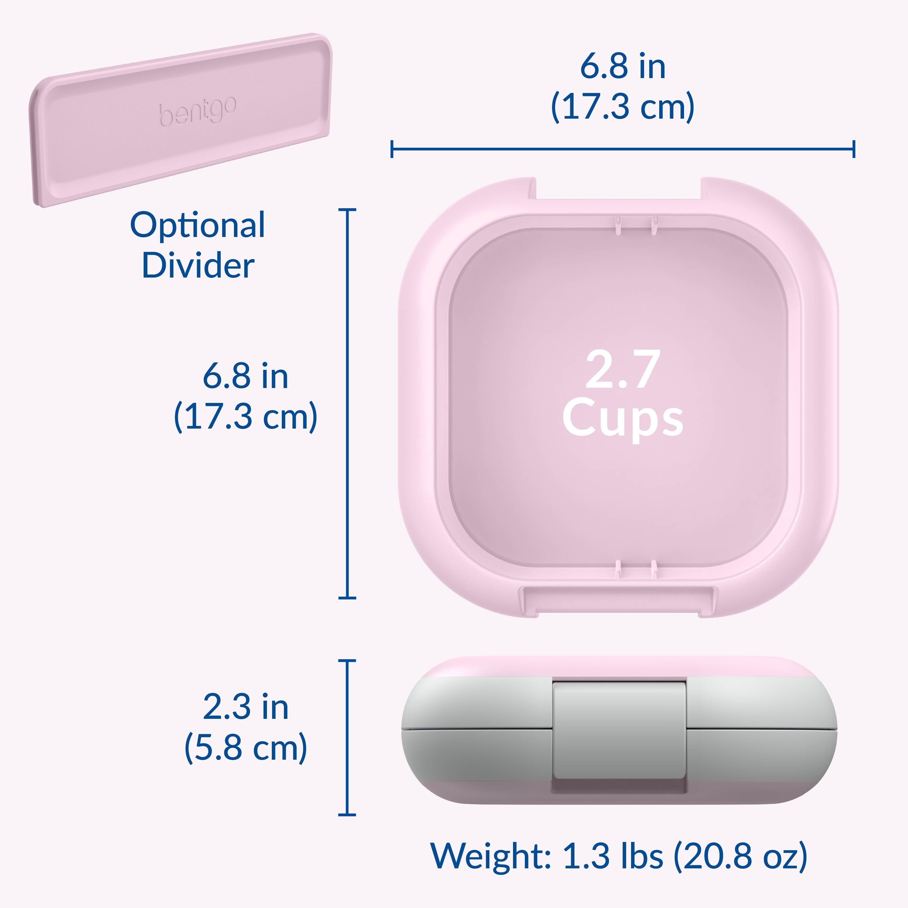 Chill Mini Lunch Box (2-Pack)