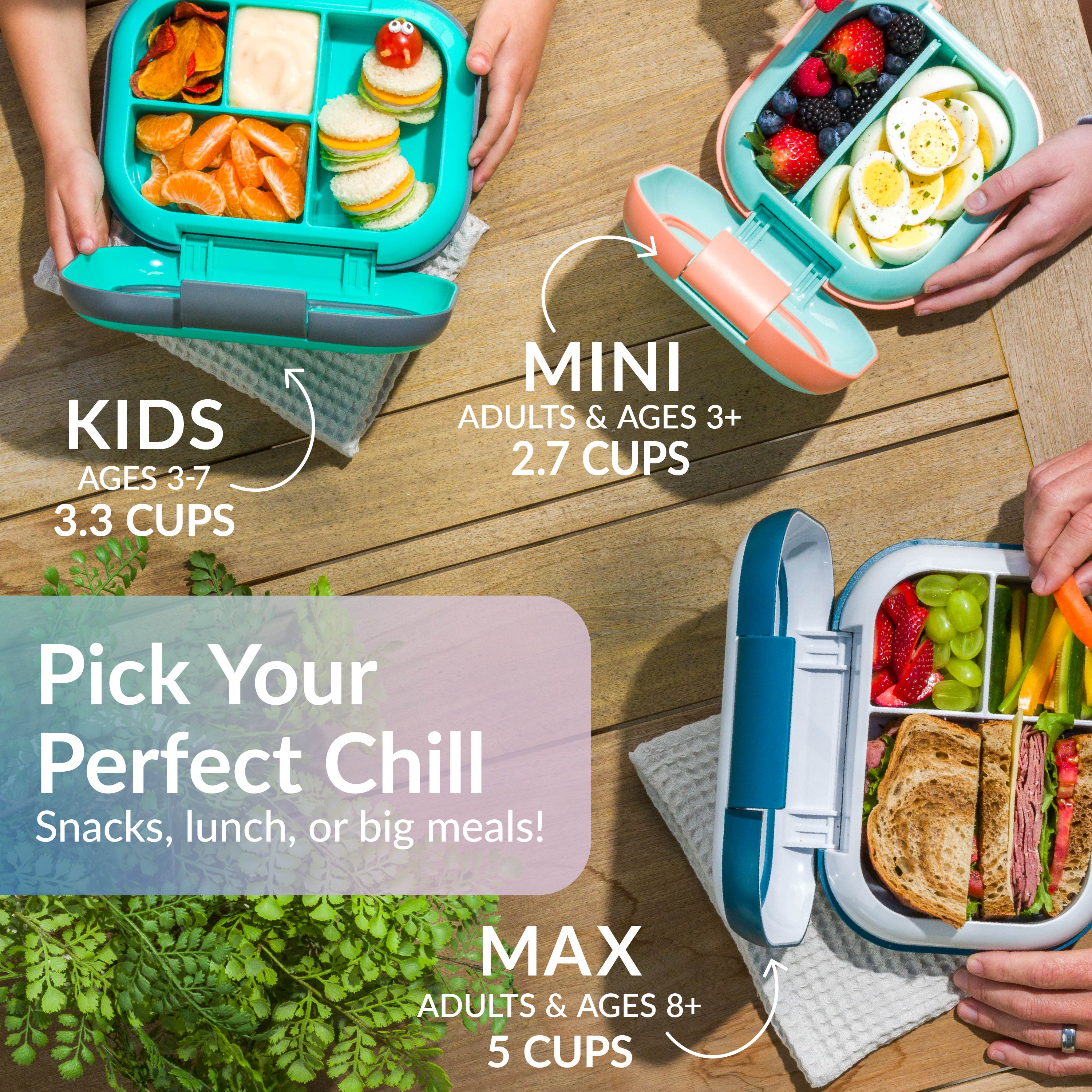 Chill Mini Lunch Box (2-Pack)
