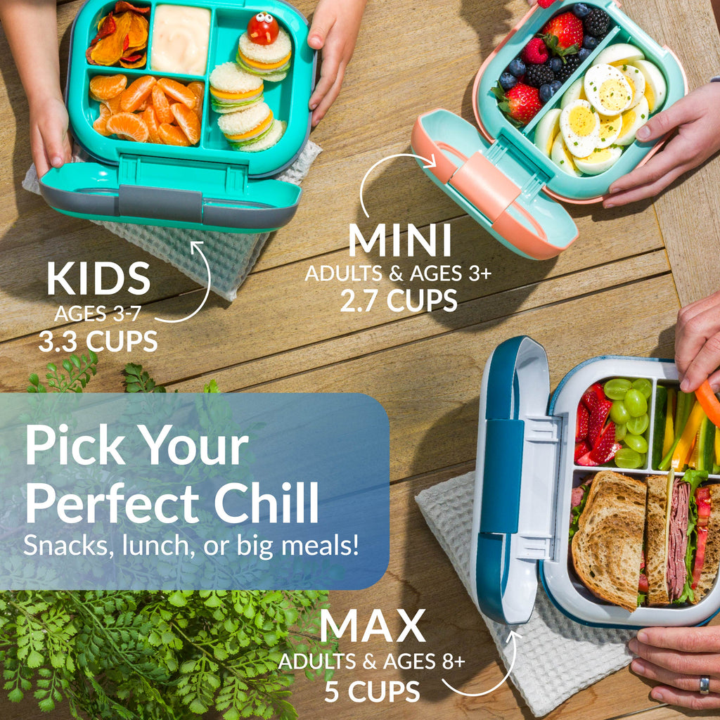 Chill Mini Lunch Box (2-Pack)