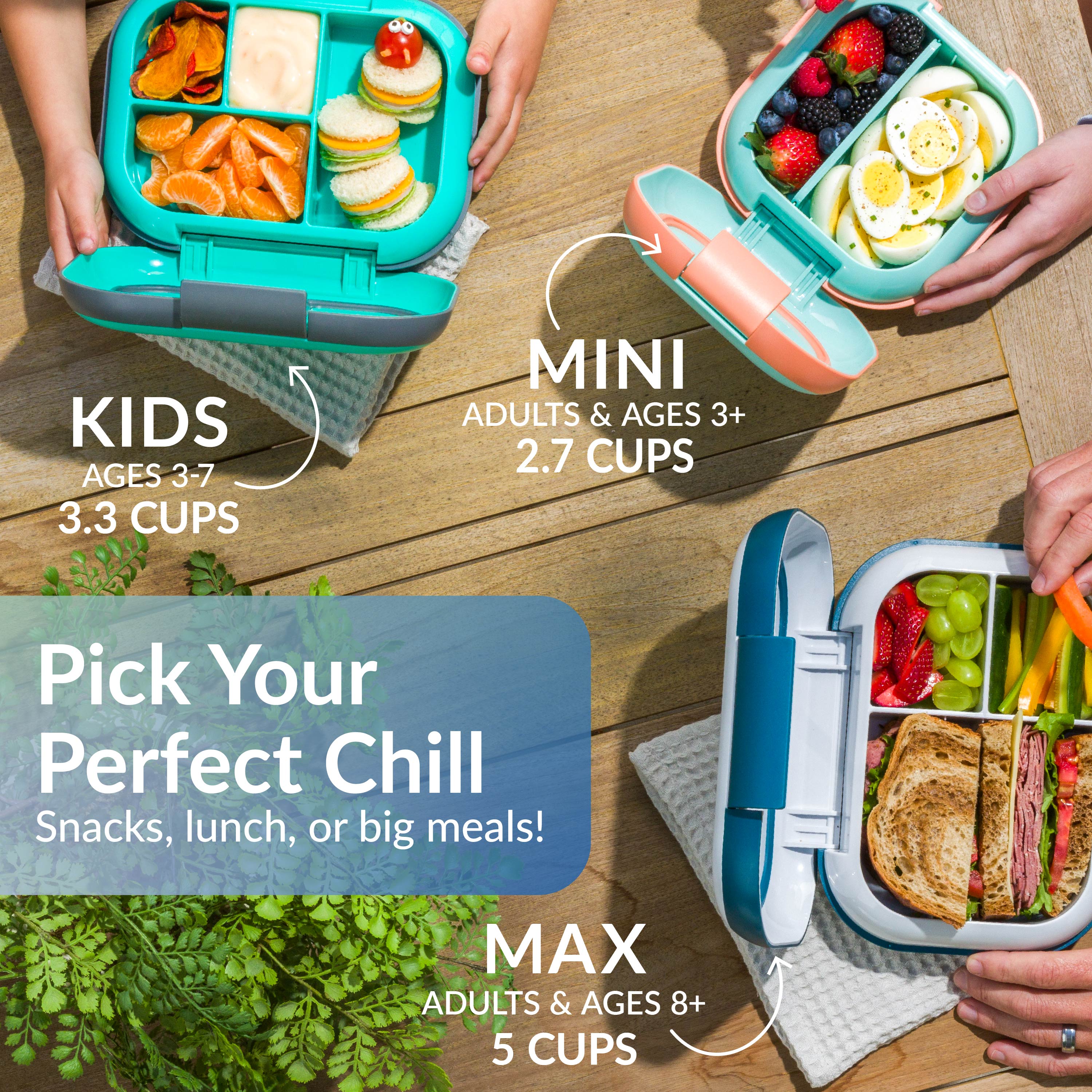 Chill Mini Lunch Box (2-Pack)