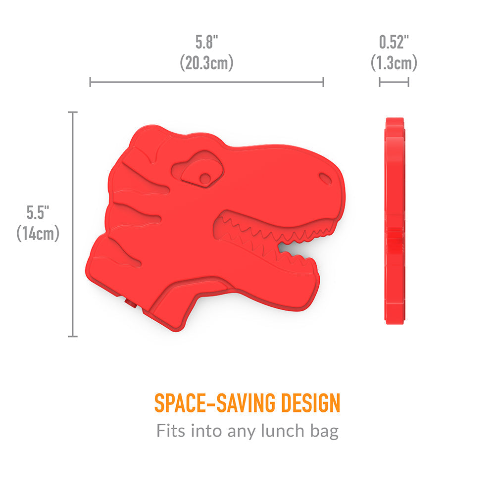 Kids Prints Lunch Box, Lunch Bag, & Ice Packs