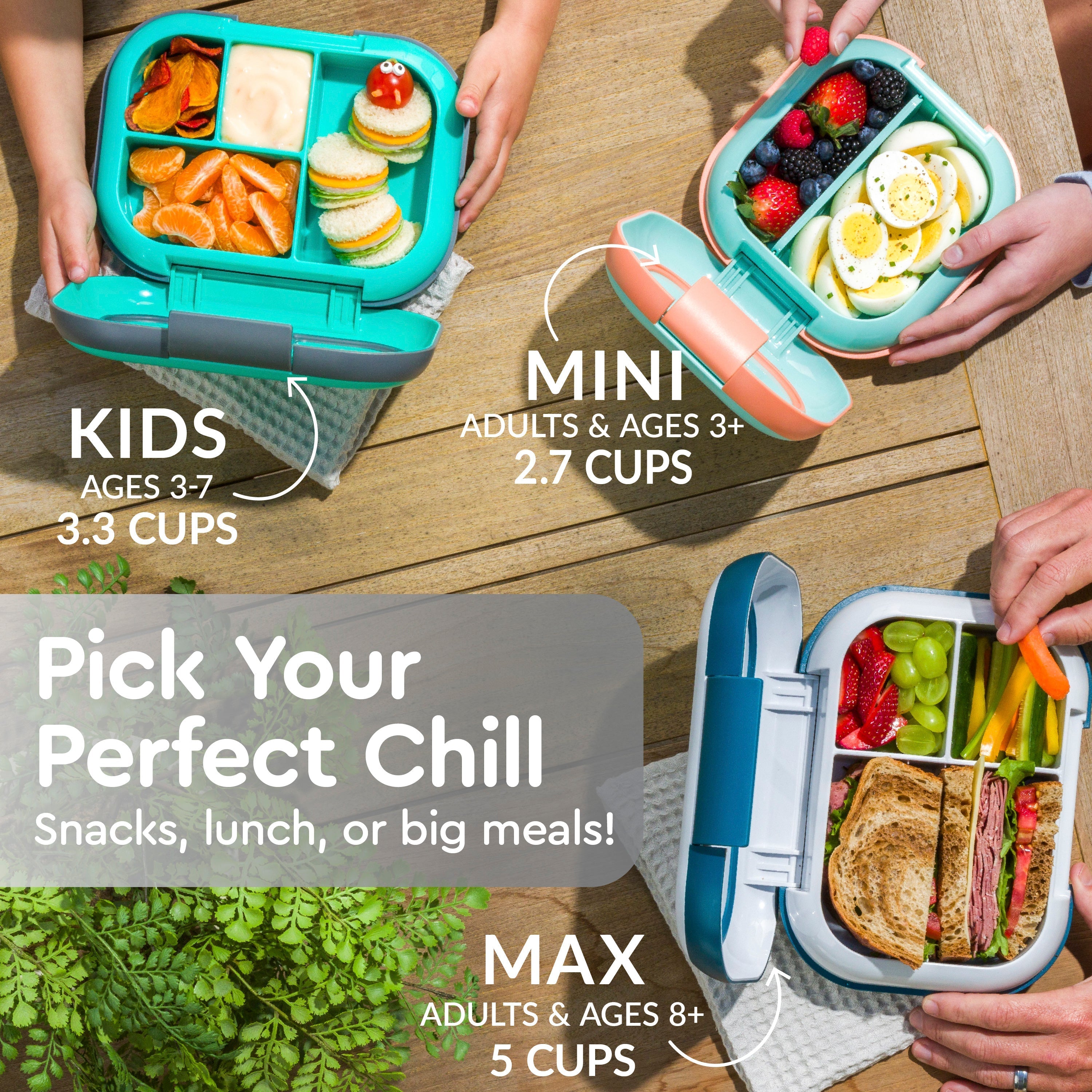 Chill Kids Lunch Box (2-Pack)