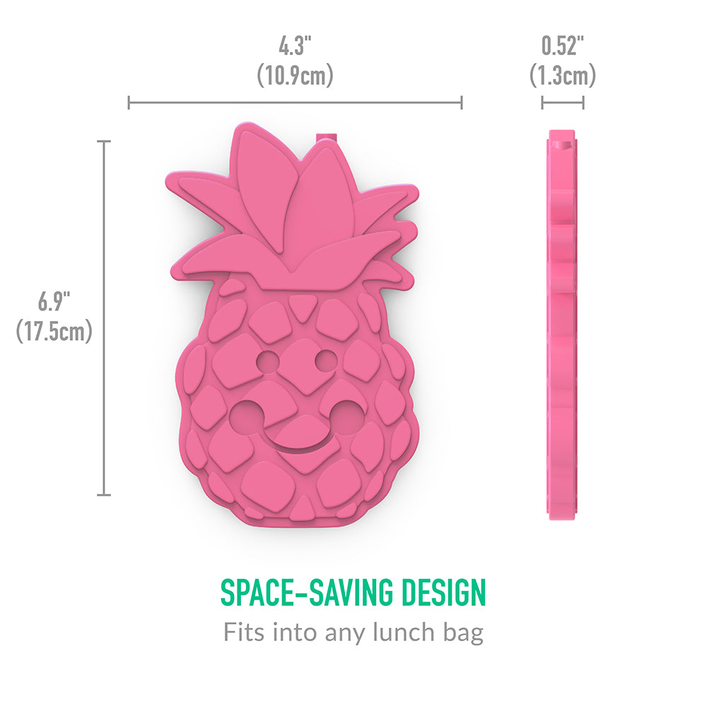 Kids Prints Lunch Box, Lunch Bag, & Ice Packs