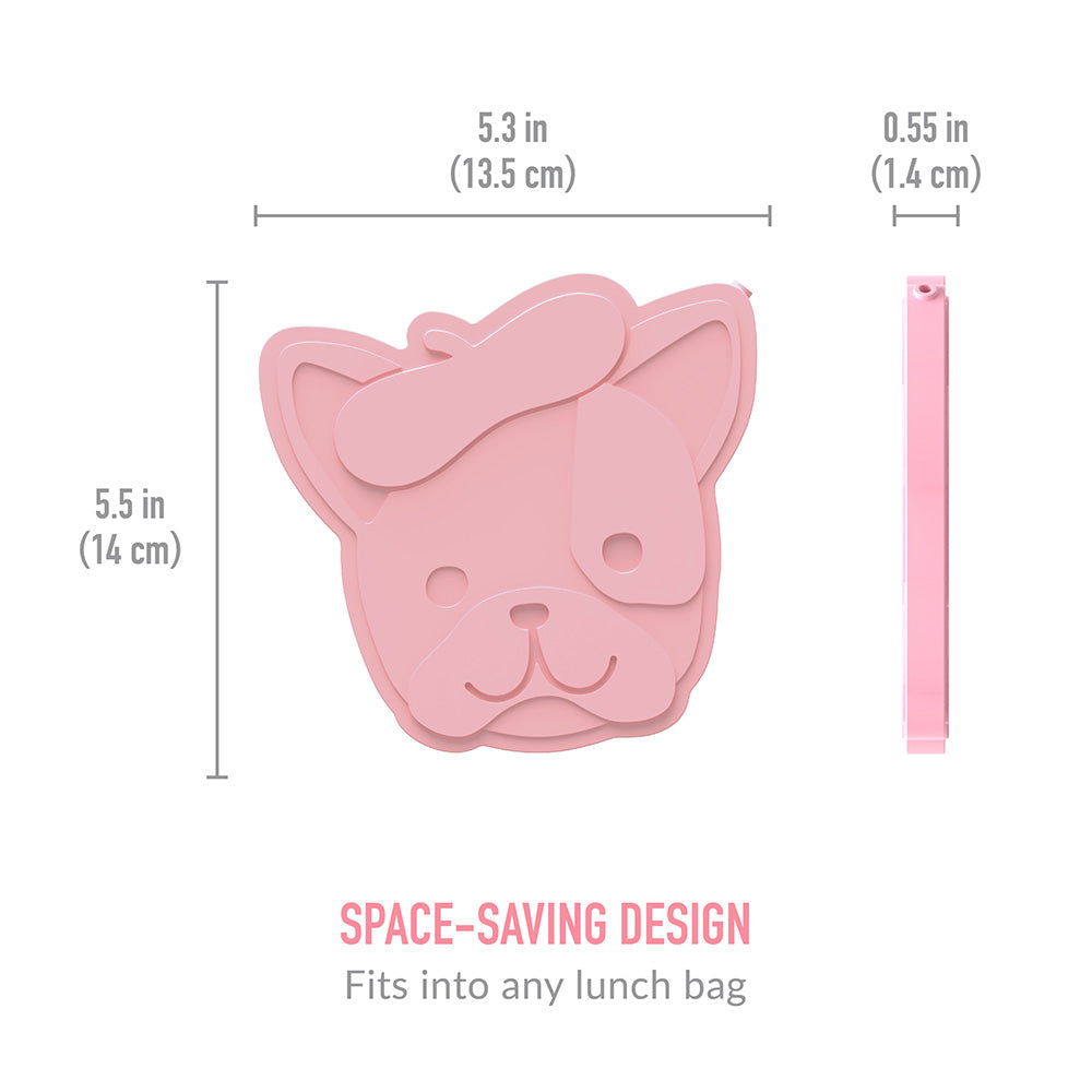 Kids Prints Lunch Box, Lunch Bag, & Ice Packs
